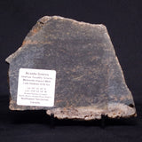 ACASTA GNEISS "OLDEST ROCK IN THE WORLD", Late Hadean, Canada ZAG013