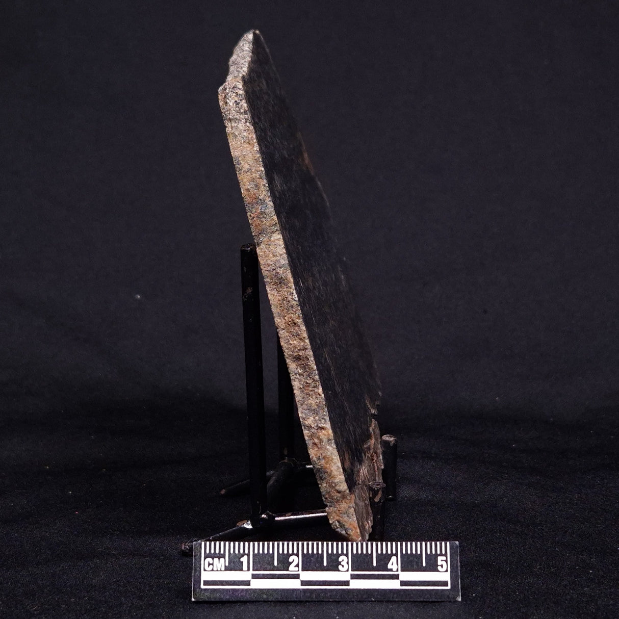 ACASTA GNEISS "OLDEST ROCK IN THE WORLD", Late Hadean, Canada ZAG013