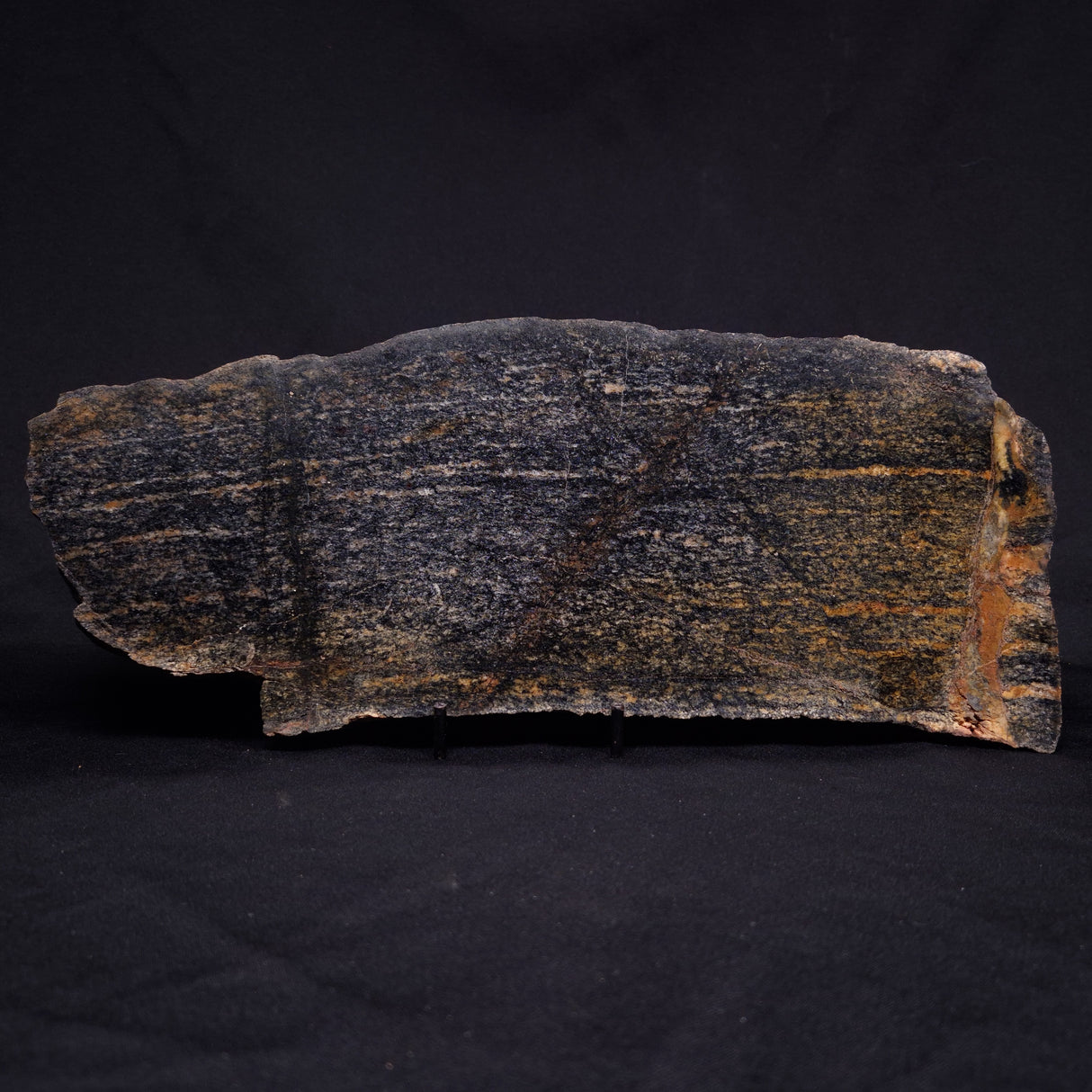 ACASTA GNEISS "OLDEST ROCK IN THE WORLD", Late Hadean, Canada ZAG014