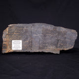 ACASTA GNEISS "OLDEST ROCK IN THE WORLD", Late Hadean, Canada ZAG014