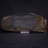 ACASTA GNEISS "OLDEST ROCK IN THE WORLD", Late Hadean, Canada ZAG015