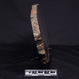 ACASTA GNEISS "OLDEST ROCK IN THE WORLD", Late Hadean, Canada ZAG015