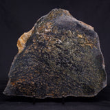 ACASTA GNEISS "OLDEST ROCK IN THE WORLD", Late Hadean, Canada ZAG017