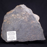 ACASTA GNEISS "OLDEST ROCK IN THE WORLD", Late Hadean, Canada ZAG017