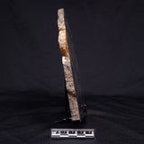 ACASTA GNEISS "OLDEST ROCK IN THE WORLD", Late Hadean, Canada ZAG017