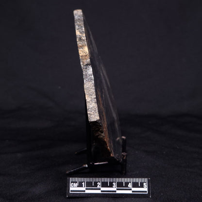 ACASTA GNEISS "OLDEST ROCK IN THE WORLD", Late Hadean, Canada ZAG018