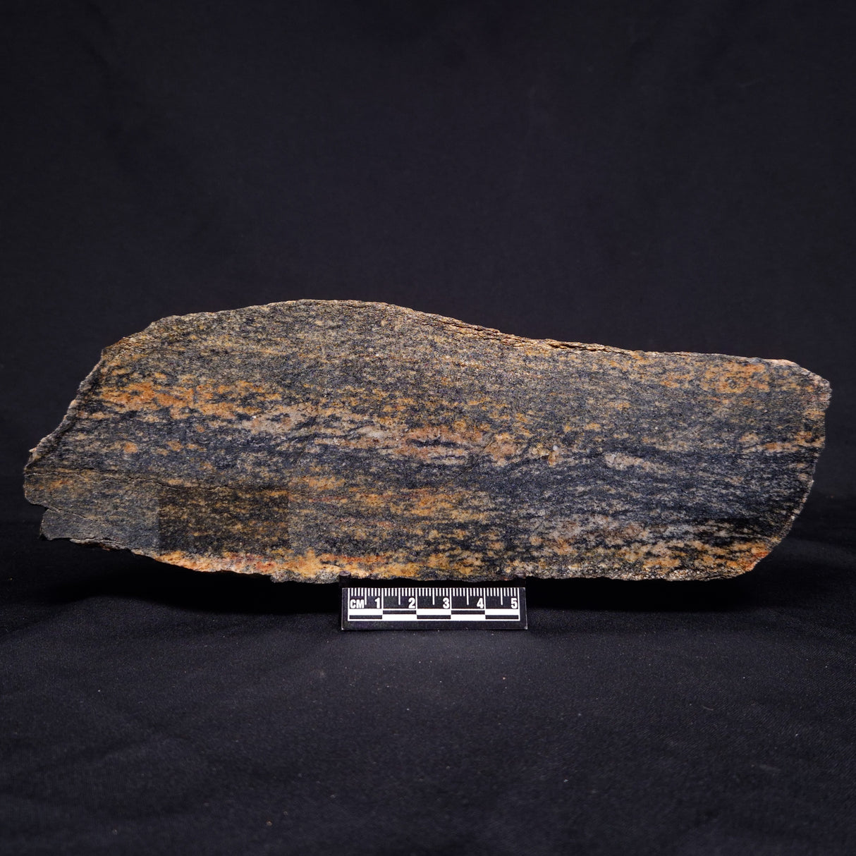 ACASTA GNEISS "OLDEST ROCK IN THE WORLD", Late Hadean, Canada ZAG019