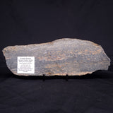 ACASTA GNEISS "OLDEST ROCK IN THE WORLD", Late Hadean, Canada ZAG019
