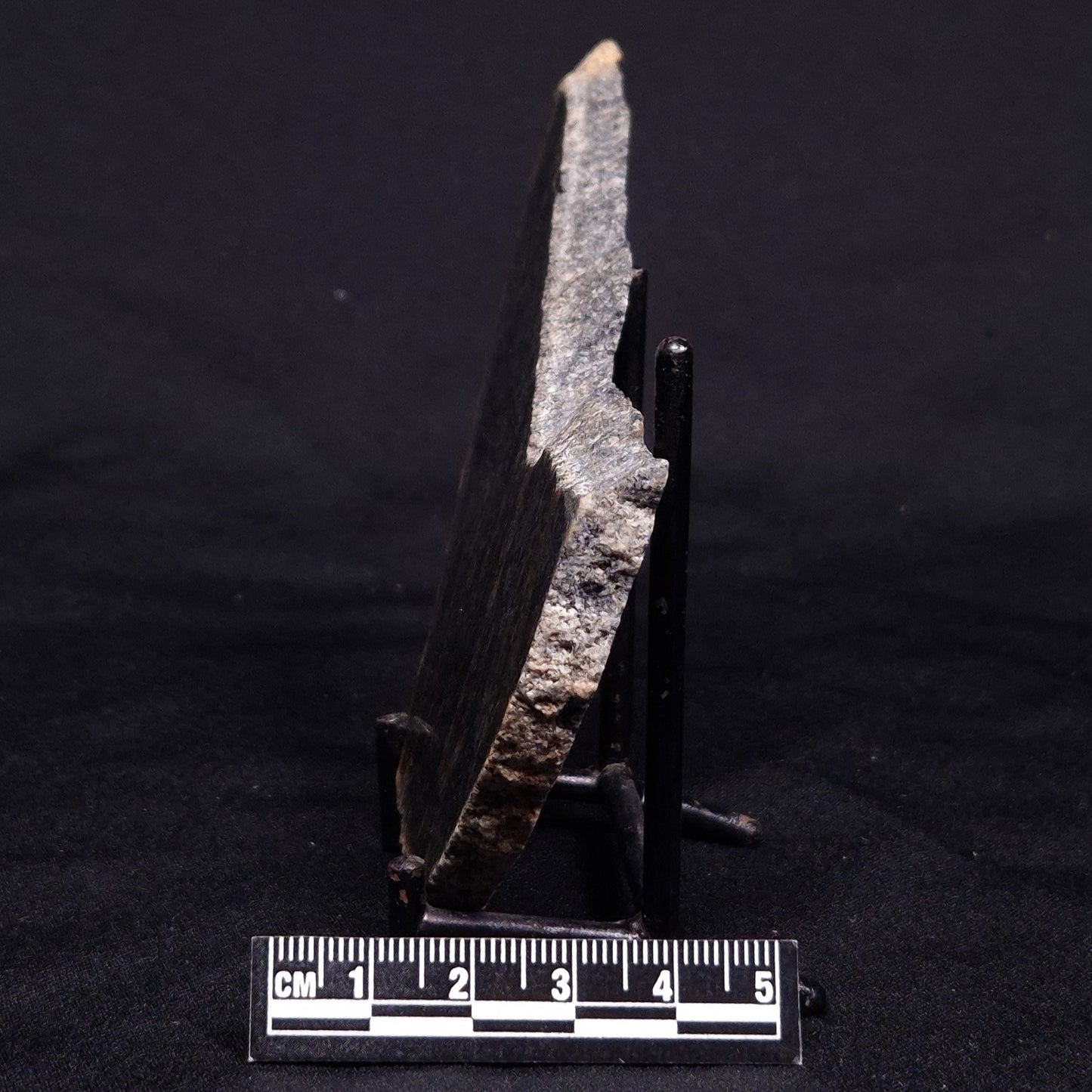 ACASTA GNEISS "OLDEST ROCK IN THE WORLD", Late Hadean, Canada ZAG022