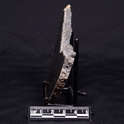 ACASTA GNEISS "OLDEST ROCK IN THE WORLD", Late Hadean, Canada ZAG022