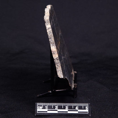 ACASTA GNEISS "OLDEST ROCK IN THE WORLD", Late Hadean, Canada ZAG024