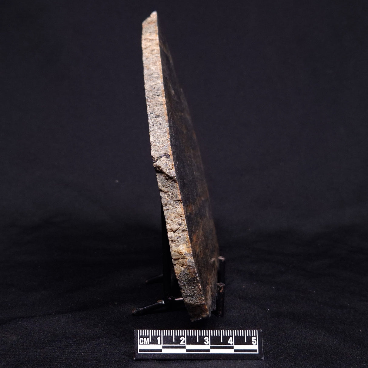 ACASTA GNEISS "OLDEST ROCK IN THE WORLD", Late Hadean, Canada ZAG026