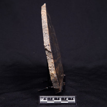 ACASTA GNEISS "OLDEST ROCK IN THE WORLD", Late Hadean, Canada ZAG026