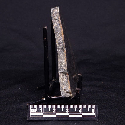 ACASTA GNEISS "OLDEST ROCK IN THE WORLD", Late Hadean, Canada ZAG028