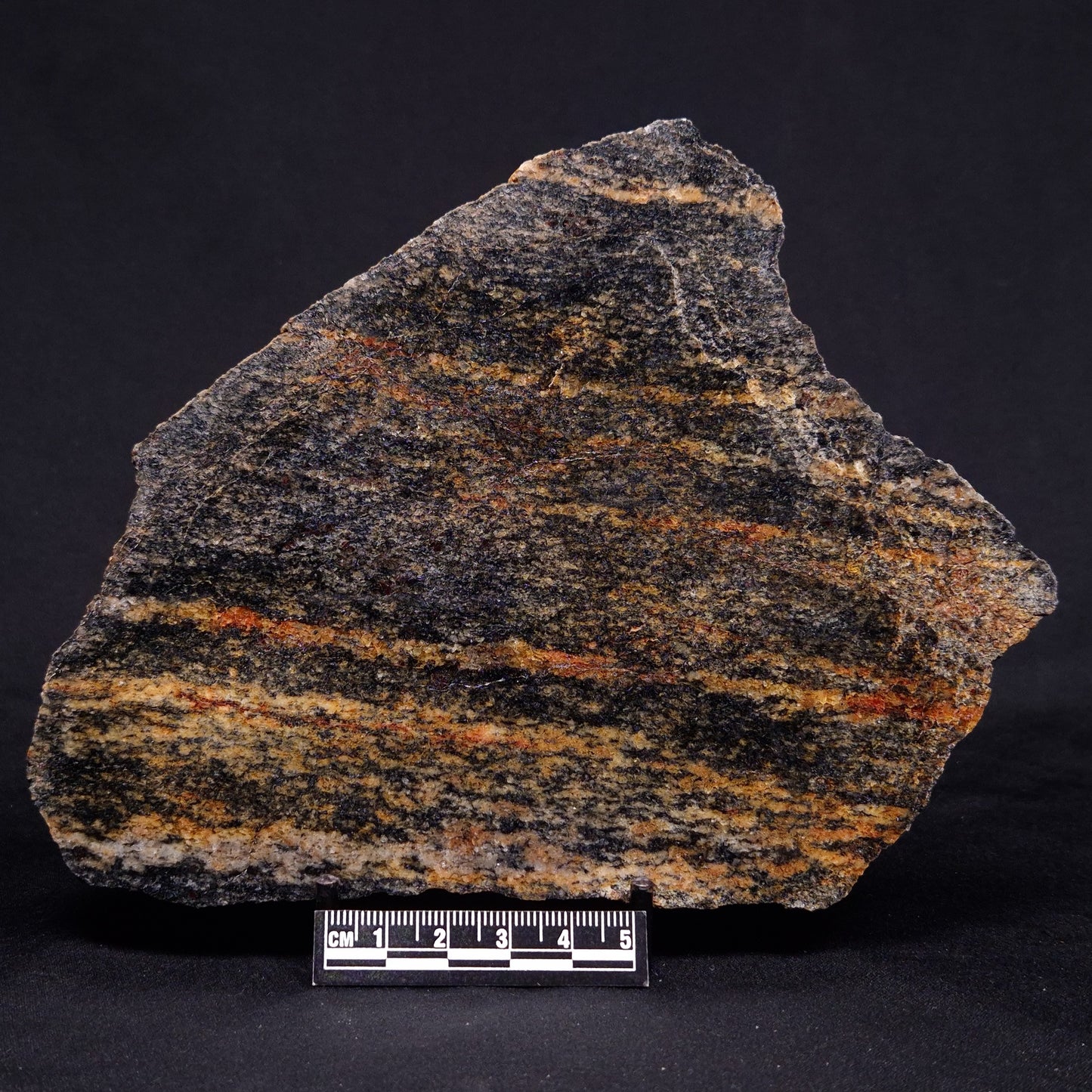 ACASTA GNEISS "OLDEST ROCK IN THE WORLD", Late Hadean, Canada ZAG030