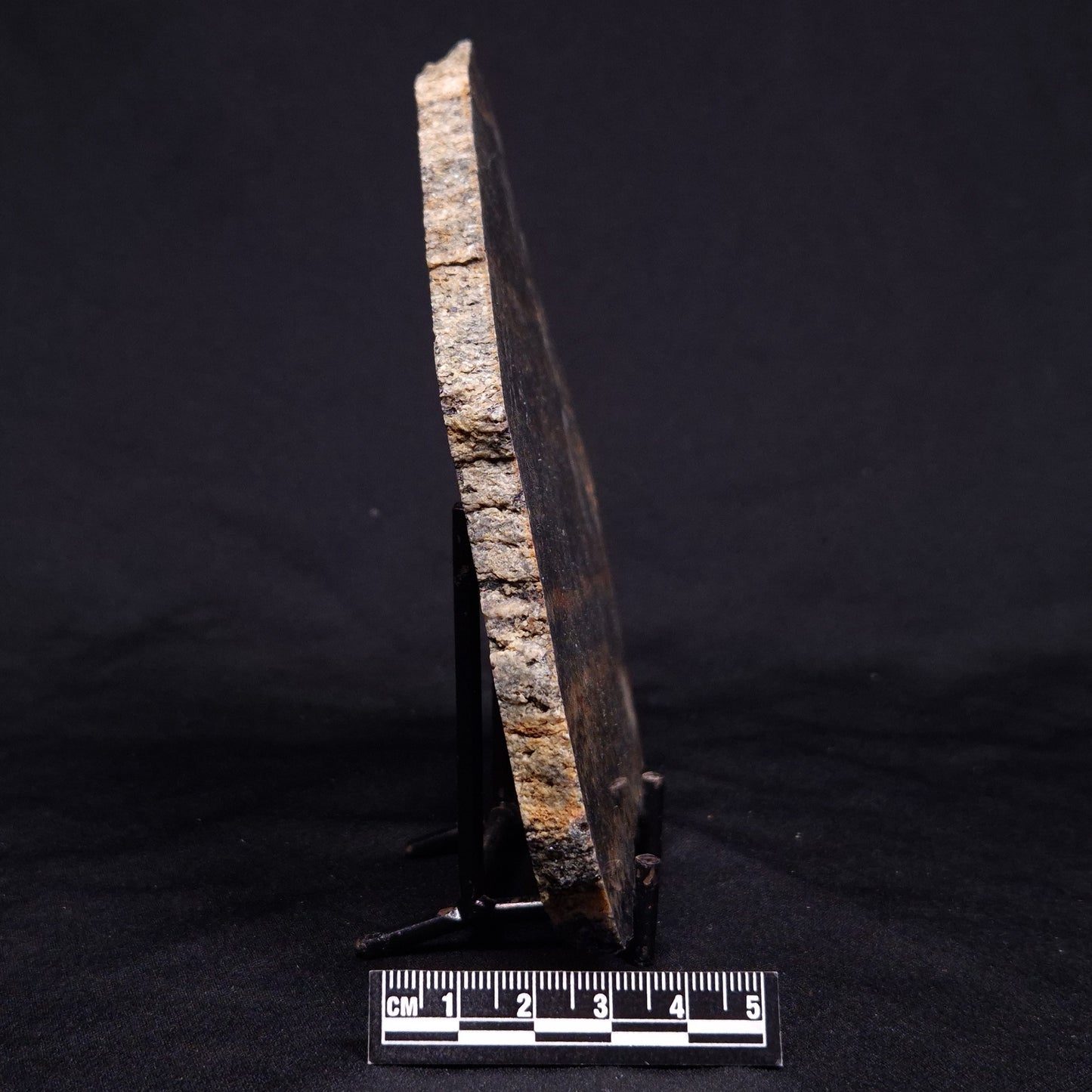 ACASTA GNEISS "OLDEST ROCK IN THE WORLD", Late Hadean, Canada ZAG030