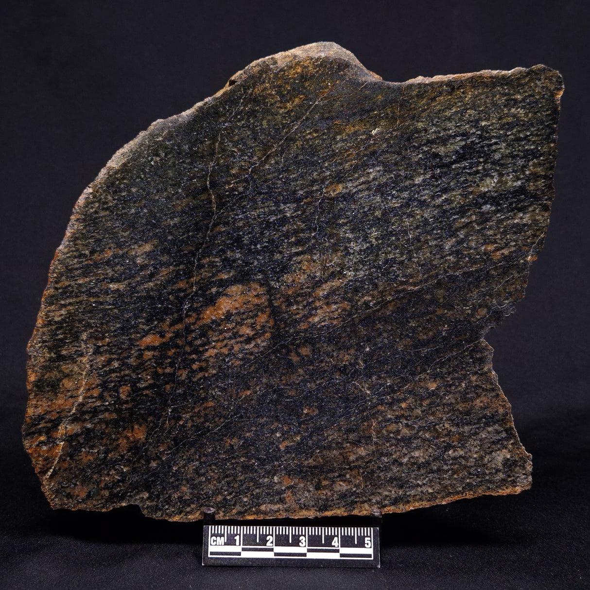 ACASTA GNEISS "OLDEST ROCK IN THE WORLD", Late Hadean, Canada ZAG031