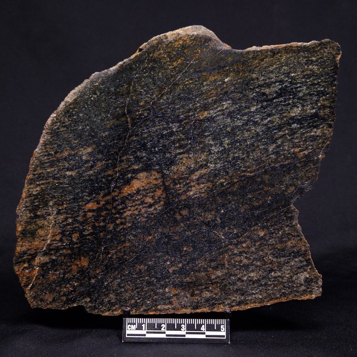 ACASTA GNEISS "OLDEST ROCK IN THE WORLD", Late Hadean, Canada ZAG031
