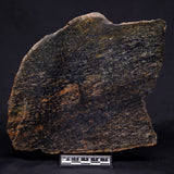 ACASTA GNEISS "OLDEST ROCK IN THE WORLD", Late Hadean, Canada ZAG031