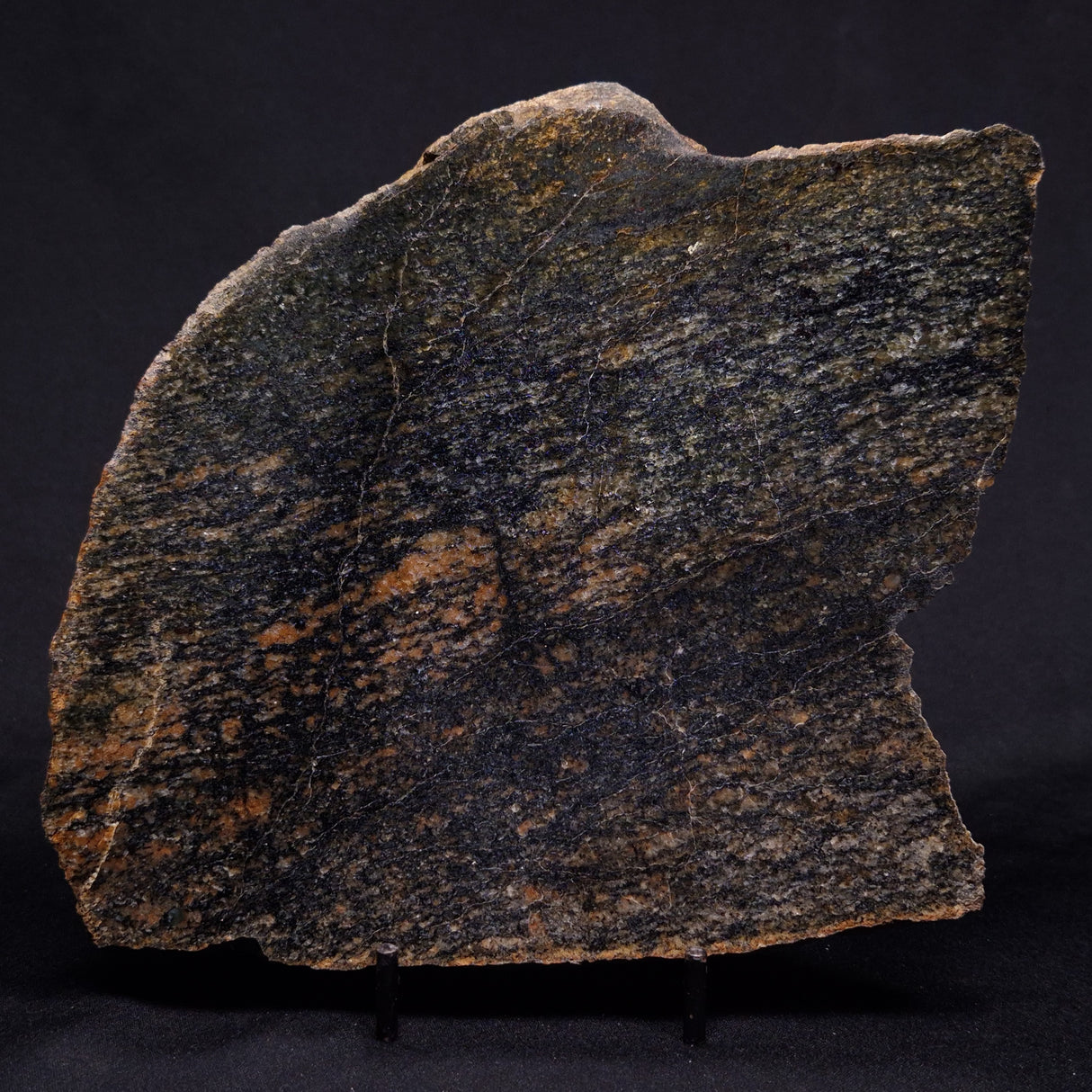 ACASTA GNEISS "OLDEST ROCK IN THE WORLD", Late Hadean, Canada ZAG031