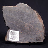 ACASTA GNEISS "OLDEST ROCK IN THE WORLD", Late Hadean, Canada ZAG031