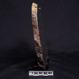 ACASTA GNEISS "OLDEST ROCK IN THE WORLD", Late Hadean, Canada ZAG031