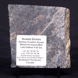 ACASTA GNEISS "OLDEST ROCK IN THE WORLD", Late Hadean, Canada ZAG039