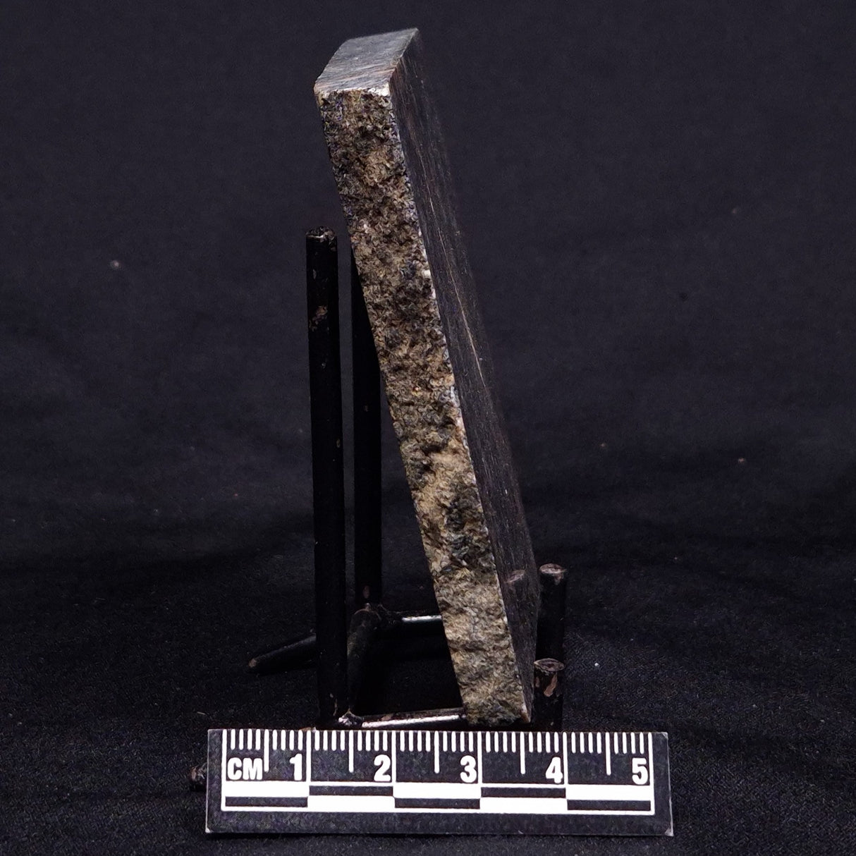 ACASTA GNEISS "OLDEST ROCK IN THE WORLD", Late Hadean, Canada ZAG039