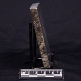 ACASTA GNEISS "OLDEST ROCK IN THE WORLD", Late Hadean, Canada ZAG039