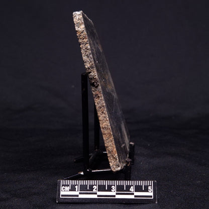 ACASTA GNEISS "OLDEST ROCK IN THE WORLD", Late Hadean, Canada ZAG042