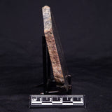 ACASTA GNEISS "OLDEST ROCK IN THE WORLD", Late Hadean, Canada ZAG044