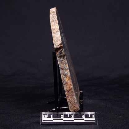 ACASTA GNEISS "OLDEST ROCK IN THE WORLD", Late Hadean, Canada ZAG045
