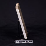 KUSSIELLA CF. KUSSIENSIS, Paleoproterozoic, Canada ZKK003
