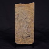 KUSSIELLA CF. KUSSIENSIS, Paleoproterozoic, Canada ZKK012