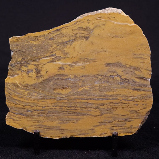 KUSSIELLA CF. KUSSIENSIS, Paleoproterozoic, Canada ZKK025