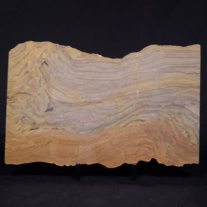 KUSSIELLA CF. KUSSIENSIS, Paleoproterozoic, Canada ZKK033