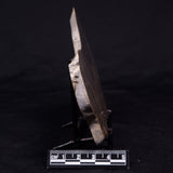 KUSSIELLA CF. KUSSIENSIS, Paleoproterozoic, Canada ZKK035