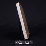 KUSSIELLA CF. KUSSIENSIS, Paleoproterozoic, Canada ZKK036