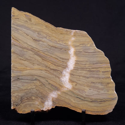 KUSSIELLA CF. KUSSIENSIS, Paleoproterozoic, Canada ZKK039