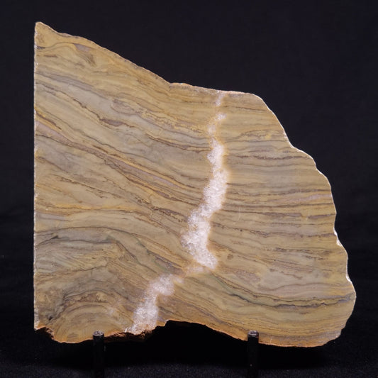 KUSSIELLA CF. KUSSIENSIS, Paleoproterozoic, Canada ZKK039