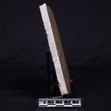 KUSSIELLA CF. KUSSIENSIS, Paleoproterozoic, Canada ZKK040