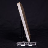 KUSSIELLA CF. KUSSIENSIS, Paleoproterozoic, Canada ZKK041