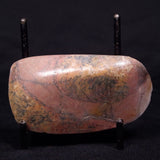 PILBARIA PERPLEXA STROMATOLITE, Australia ZPP008