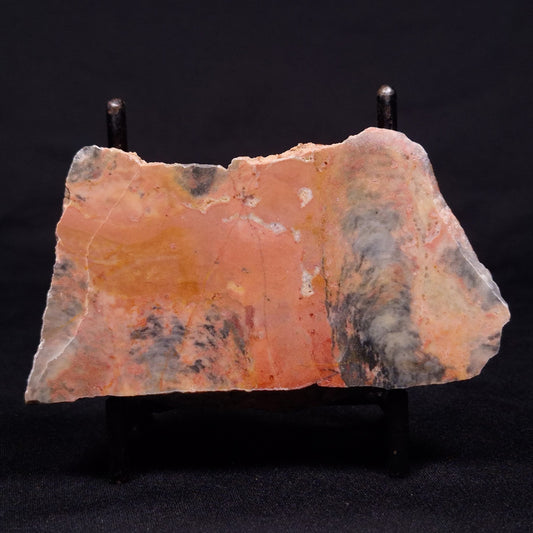 PILBARIA PERPLEXA STROMATOLITE, Australia ZPP009
