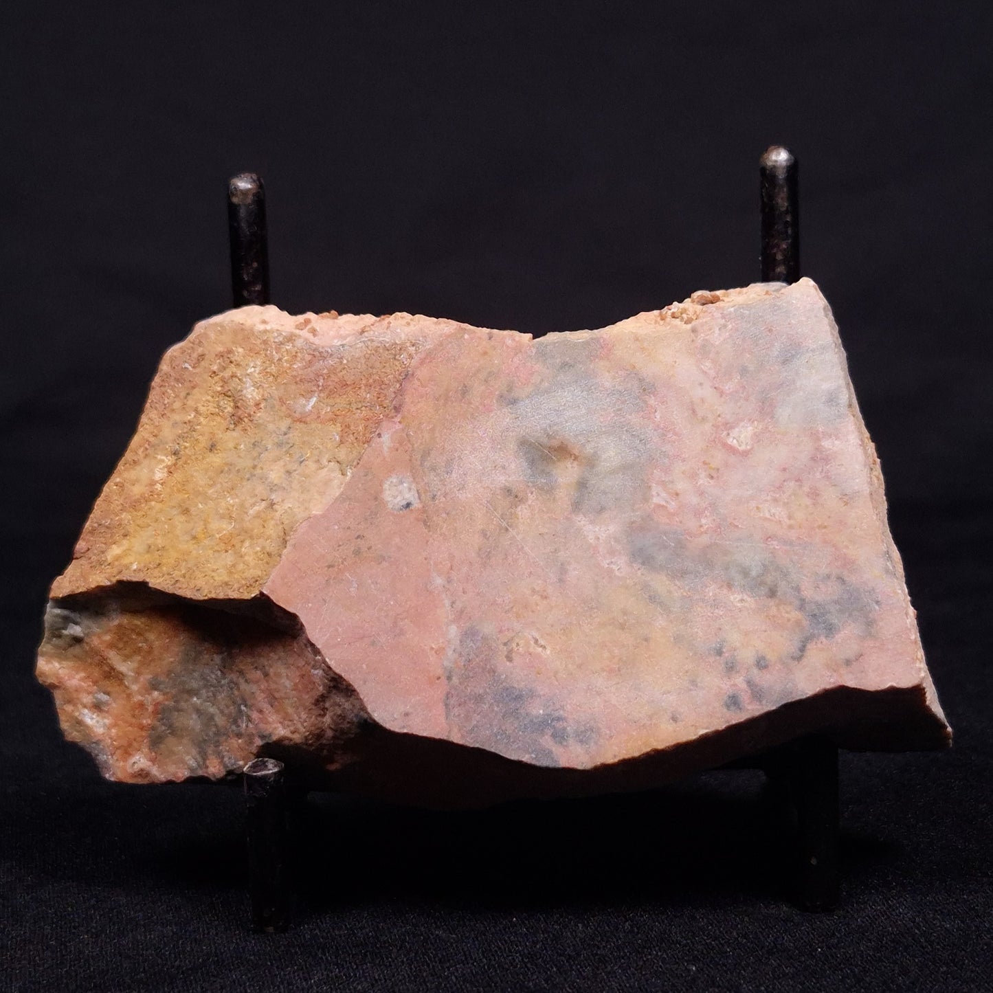 PILBARIA PERPLEXA STROMATOLITE, Australia ZPP009