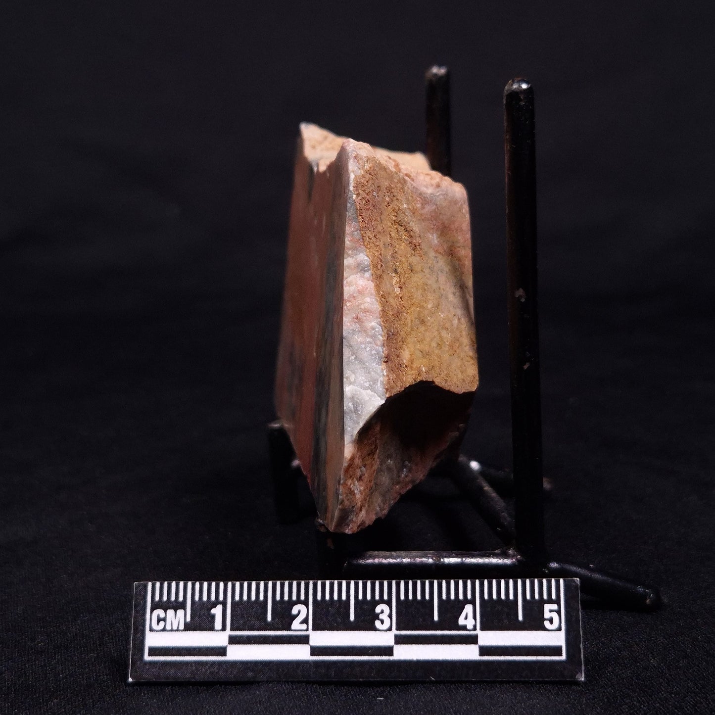 PILBARIA PERPLEXA STROMATOLITE, Australia ZPP009