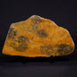 PILBARIA PERPLEXA STROMATOLITE, Australia ZPP010