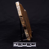 PILBARIA PERPLEXA STROMATOLITE, Australia ZPP011