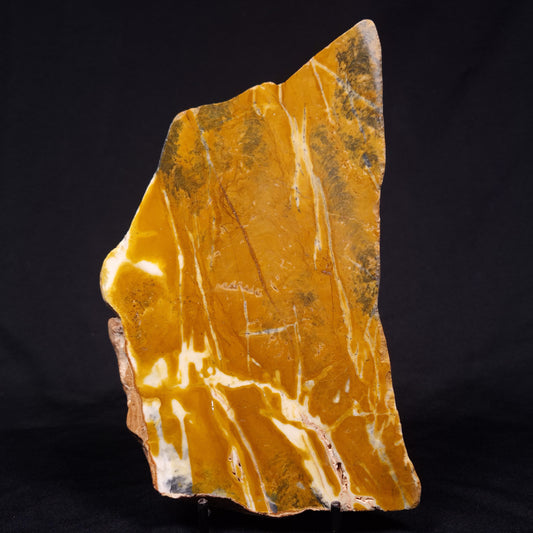 PILBARIA PERPLEXA STROMATOLITE, Australia ZPP012