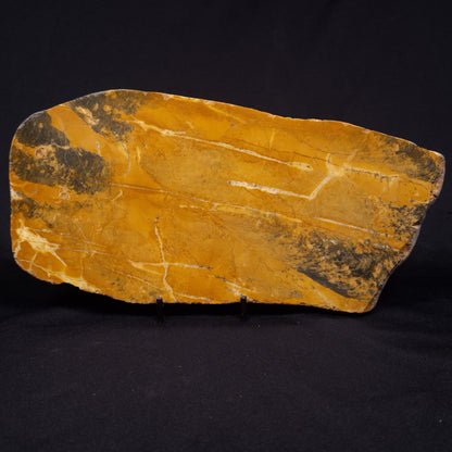 PILBARIA PERPLEXA STROMATOLITE, Australia ZPP015